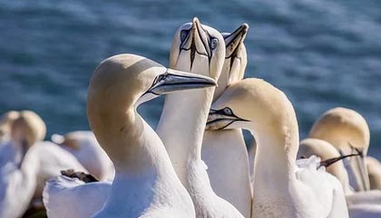 欧冠最新版-晋级世界杯非终点 中国女篮任重道远